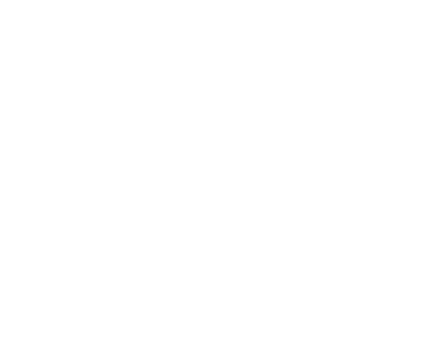 ID Express Logo PNG Alt PNG