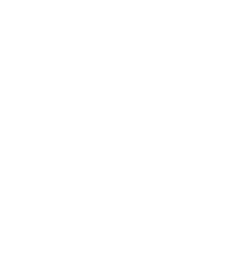Lion Parcel Logo PNG Alt 3 PNG