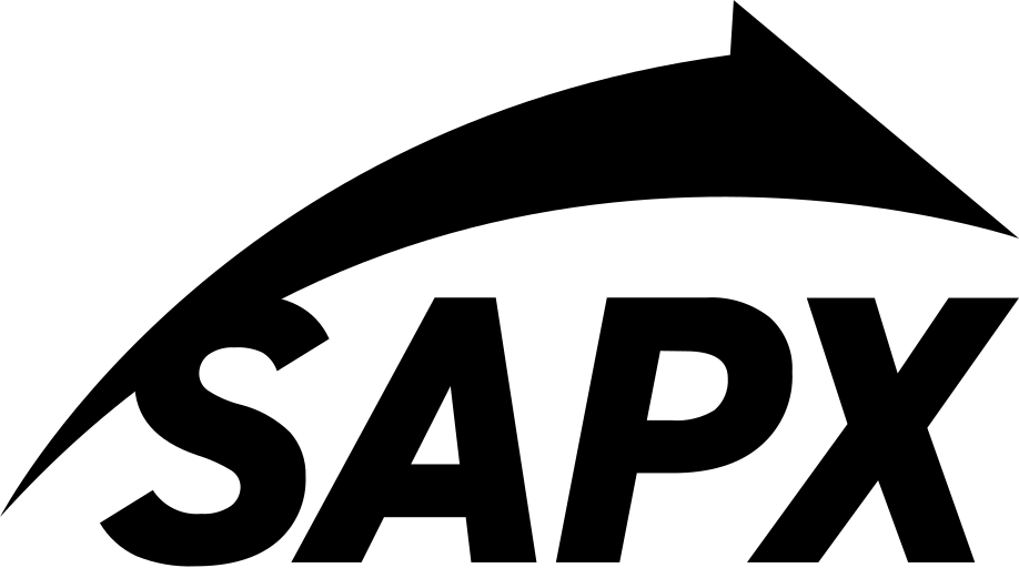 SAP Express Wordmark PNG SAPX PNG