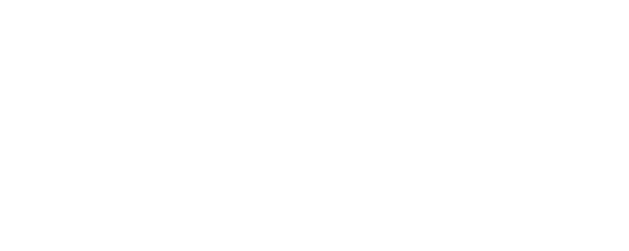 SPX (Shopee Express) Logo PNG Alt PNG