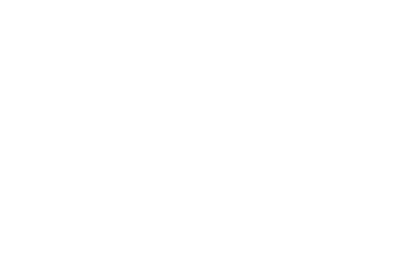 Wahana Express Logo PNG Alt 3 PNG